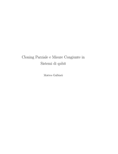 Cloning Parziale e Misure Congiunte in Sistemi di qubit