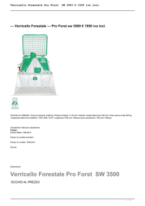 Verricello Forestale Pro Forst SW 3500 € 1550 iva incl.