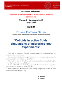 Dr.ssa Foffano Giulia “Colloids in active fluids: simulations of