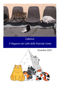 Catzine - I gatti della Piramide