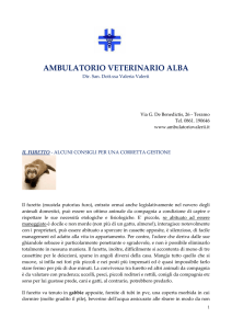 Il Furetto - Ambulatorio veterinario Alba