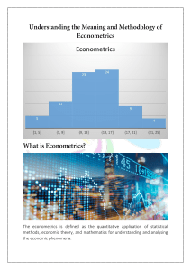 Understanding the Meaning and Methodology of Econometrics