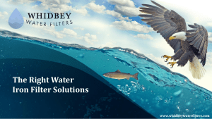 The Right Water Iron Filter Solutions