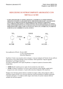 PERILLO GUIDO - Relazione Laboratorio Organica II (N°3)