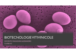 Lezione 1- Saccharomyces cerevisiae - Classificazione