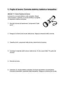 Worksheet: Electric current, battery and bulb