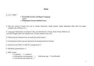 Array in PERL