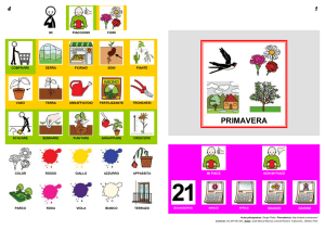 4 1 MI PIACCIONO FIORI PRIMAVERA COMPRARE SERRA F