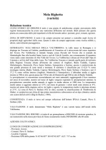 Mela Righetta (varietà) Relazione tecnica CENNI STORICI ED