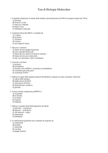 Biologia Molecolare - Sito web di Carolina Schiattarella