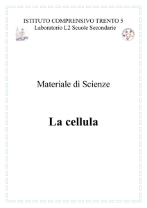 la cellula - Istituto Trento 5