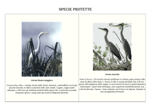 Elenco specie protette per esami venatori (documento pdf)