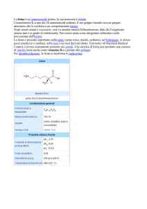 La lisina è un amminoacido polare, la sua molecola è chirale