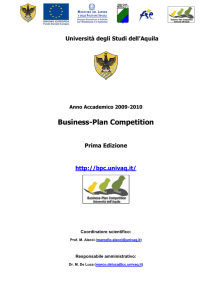 Indicazioni Struttura Business Plan
