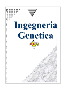 L`ingegneria genetica è una scienza che si occupa di tecniche