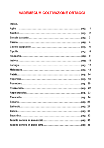 Scaricare il documento