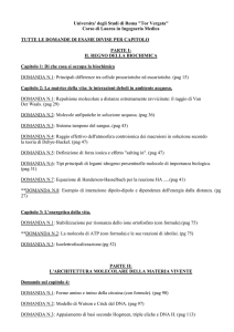 domande - Università degli Studi di Roma "Tor Vergata"