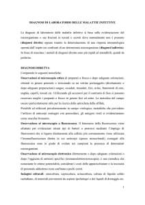 diagnosi diretta - AILMI onlus Associazione Italiana per la Lotta