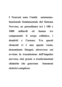 I Neuroni sono l`unit&agrave; autonomo