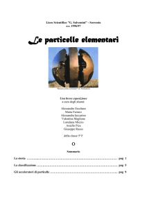 Particelle elementari - liceo scientifico gaetano salvemini