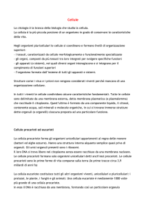 Cellule La citologia è la branca della biologia che studia la cellula