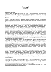 Mela Appia (varietà) Relazione tecnica CENNI STORICI ED