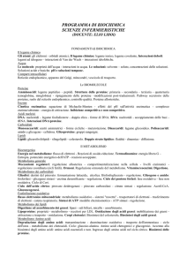 programma di biochimica - Infermieristica Vicenza AA 2010