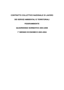ccnl federambiente 2003-2006