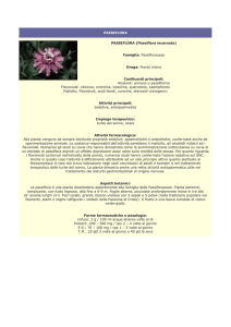 passiflora - Farmacia S. Antonio – Brescia