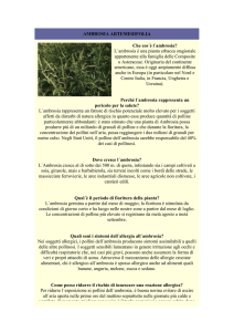 Ambrosia Artemisifolia - Farmacia S. Antonio – Brescia