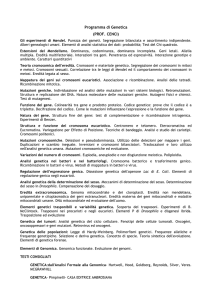 PROGRAMMA DEL CORSO CENCI/FANTI File - e