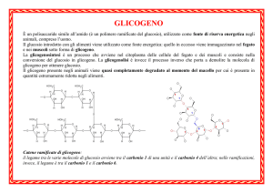 glicogeno