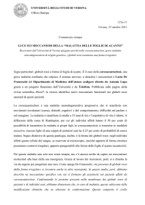 msword (it, 242 KB, 10/26/11) - Università degli Studi di Verona
