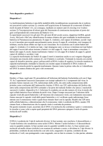 note_genetica_4_0304 - Università degli Studi di Roma "Tor
