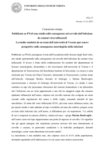 msword (it, 243 KB, 1/18/16) - Università degli Studi di Verona