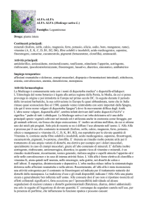 Alfa-Alfa - Farmacia S. Antonio – Brescia