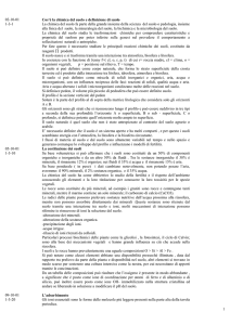 Lay-out appunti
