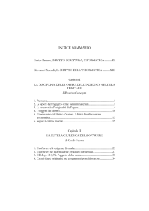 i contratti ad oggetto informatico conclusi con la pubblica