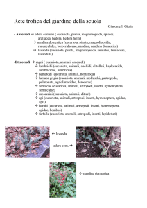 Rete Trofica del Giardino Scolastico di G. Giacomelli