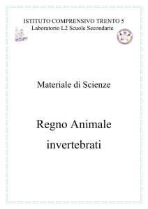 Invertebrati - Istituto Trento 5