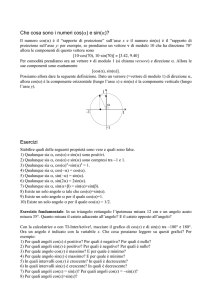 Che cosa sono i numeri cos(  ) e sin(  )