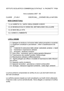 nodi concettuali - Osservatorio Scolastico Provinciale di Pisa