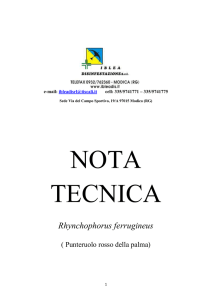 Scarica nota tecnica