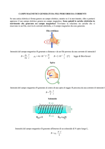 forza magnetica su cariche in moto e su fili percorsi da corrente
