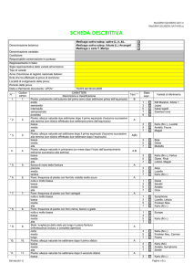 sd medic-sat-var 12