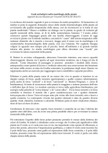 Scarica articolo - Progetto Rudolf Steiner.it