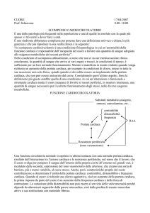 cuore 17 - Digilander