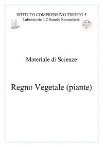 Il Regno Vegetale - Istituto Trento 5