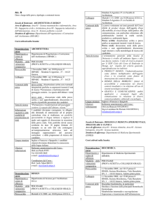 Denominazione corso