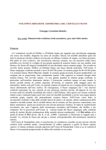 riduzione asimmetrica del cervello umano